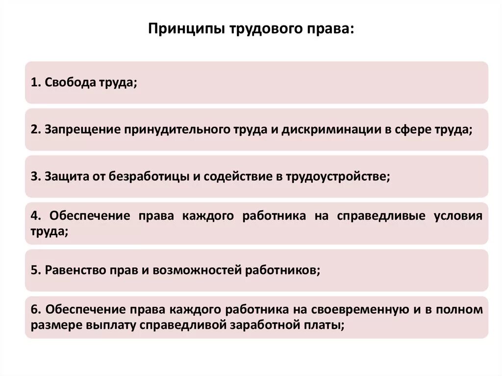 Принципы трудовых отношений рф