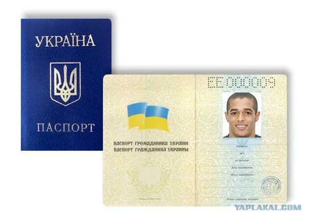 Перевести документы на украинский