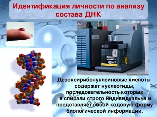 Метод днк идентификации. ДНК идентификация. Исследование ДНК В криминалистике. ДНК-идентификация личности человека.. Метод идентификации ДНК человека:.