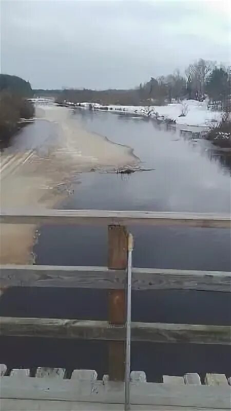 Прогноз половодья в рязани в 2025 года. Уровень паводка в рязани максимум. алеканово половодье рязань 2025. обзор половодья в рязанской на 28.04.
