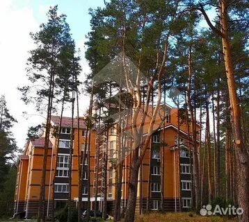 Квартиры в солотче