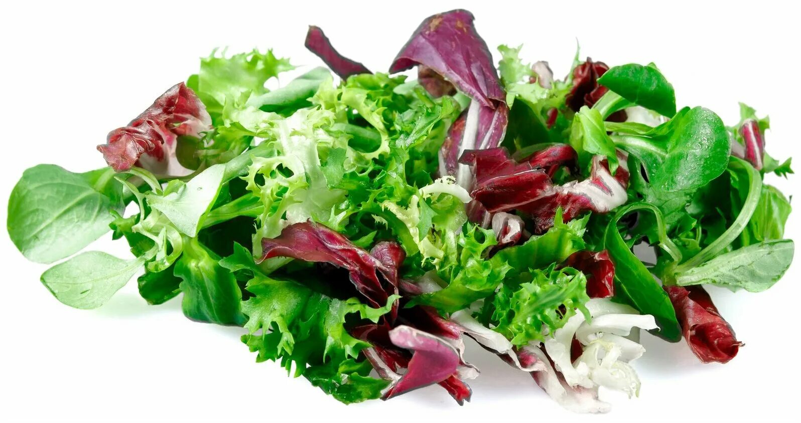 салат микс. , руккола, фризе. салатный микс. что такое салатный микс. Mix salad.