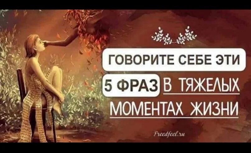 5 фраз которые. 5 фраз которые нужно говорить себе в тяжелые моменты жизни. вовлекаясь во множество дел. вовлекаясь во множество дел не мечись. вовлекаясь во множество дел не мечись как по джунглям ботаник.