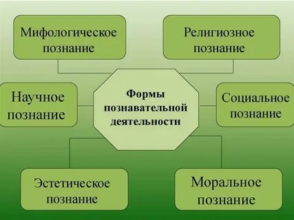 Основные виды формы деятельности человека