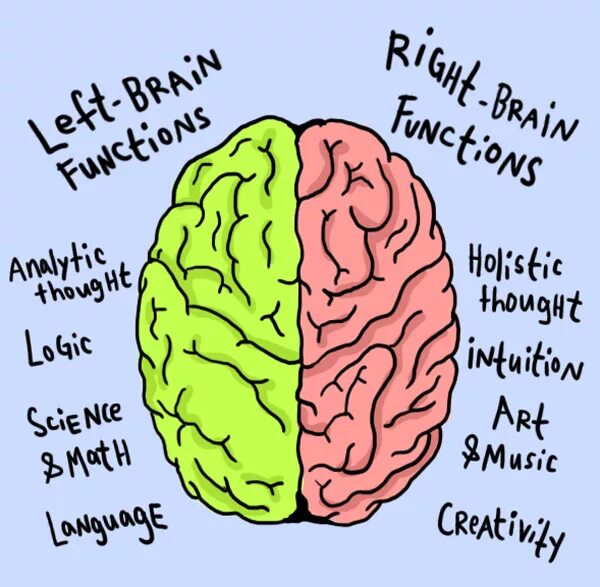 Me and my brain. Мозг рисунок. Витамины для мозга. Здоровье мозга. Мозг рисунок на английском.