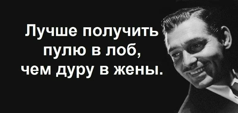 В лоб хочешь. Лучше получить пулю в лоб. Цитаты про тупую жену. Глупая жена горе в семье. Жена ДЕБИЛКА.