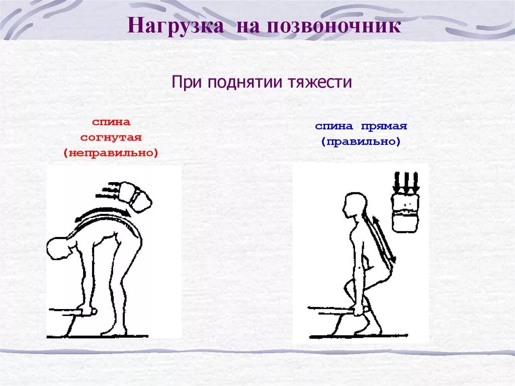 Поднятие тяжестей боль живот. Правильное распределение нагрузки на позвоночник. Нагрузка на позвоночник при поднятии тяжести. Положение спины при поднятии тяжести. Как правильно поднимать тяжести.