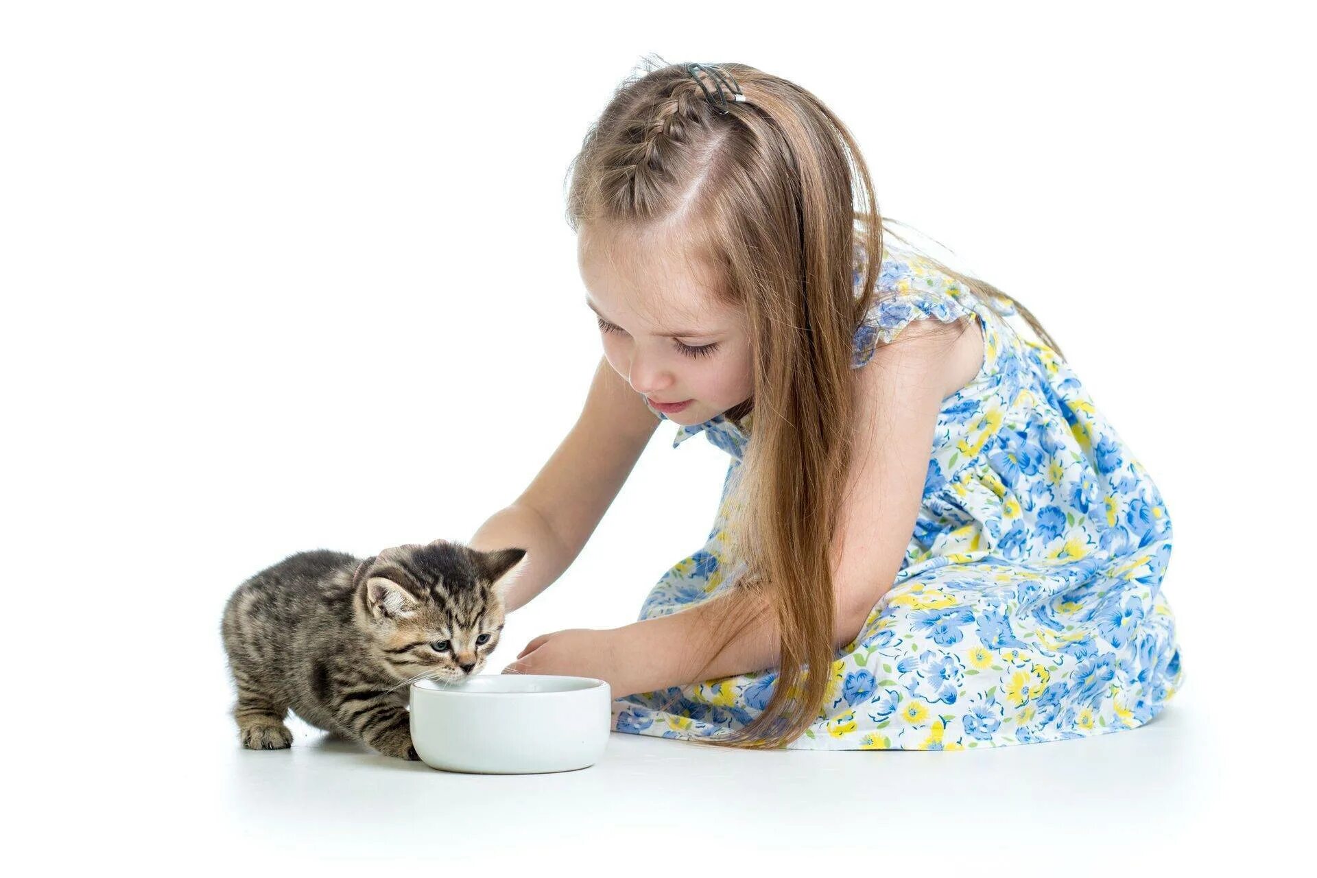 Девочка кормит кошку. Дети ухаживают за животными. Кошка для детей. Котёнок-ребёнок. Мама помоги котенку