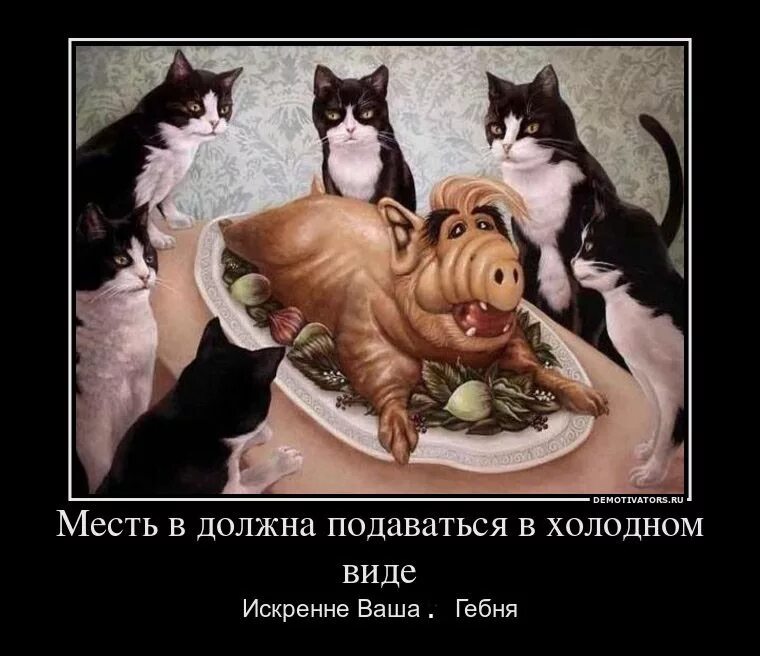 Мстя картинки. Месть юмор. месть котэ. демотиваторы месть кота. месть смешные картинки.