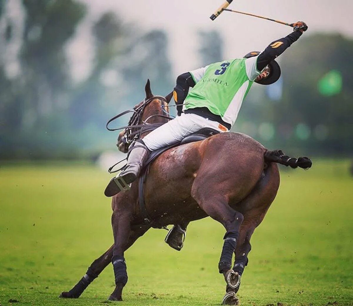 Sports horse. Поло для конного спорта. Конное поло Polo Ralph. Конное поло Англия. Polo Sport поло.