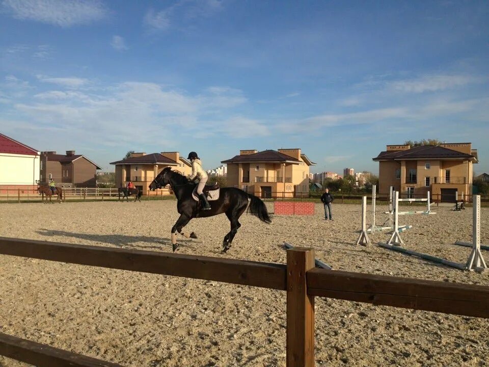 Кск серебряная подкова самара. Золотая подкова саратов конный клуб. Кск подкова. Кск серебряная подкова. Кск подкова.