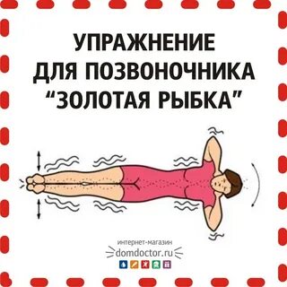 Ниши золотая рыбка видео