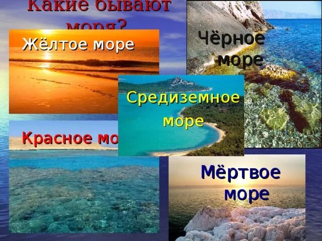 Карта где есть моря