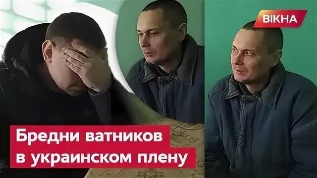 Интервью дмитрия карпенко. Интервью дмитрия карпенко