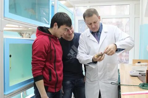 Валитов стерлитамак