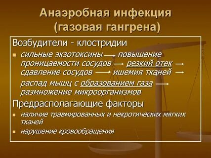Анаэробные возбудители
