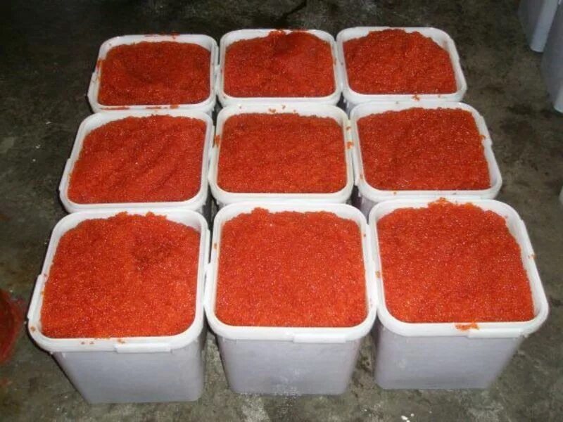 Центральный рынок петропавловск-камчатский. Камчатке оптом. Полукус продукция с камчатки. Камчатке оптом. Рыбное изобилие камчатка.