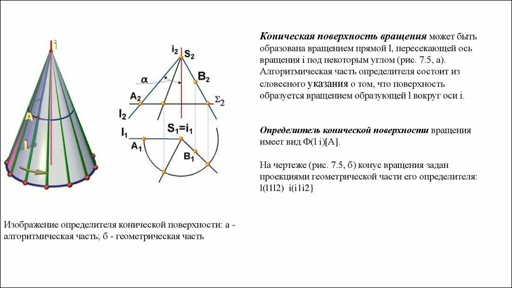 Изображение конической поверхности. Проецирование точек на конусе. Линия на поверхности вращения. Поверхности вращения конус. Поверхности вращения.