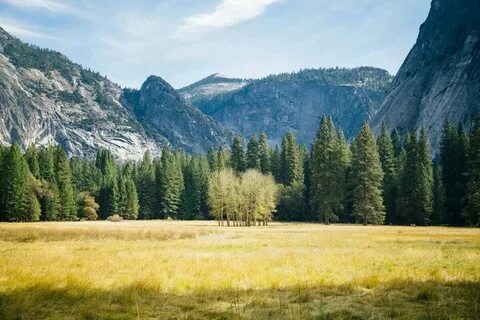 Environment geography
