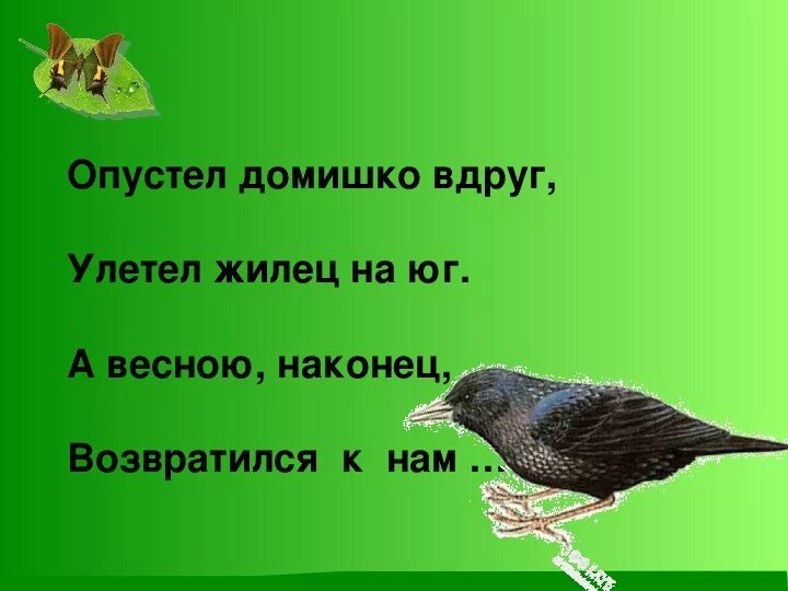 Загадка про скворца. Загадка про скворца 2 класс. Загадка про скворца для детей. Загадки о скворце для вторых классов. Загадка о скворце 2 класс