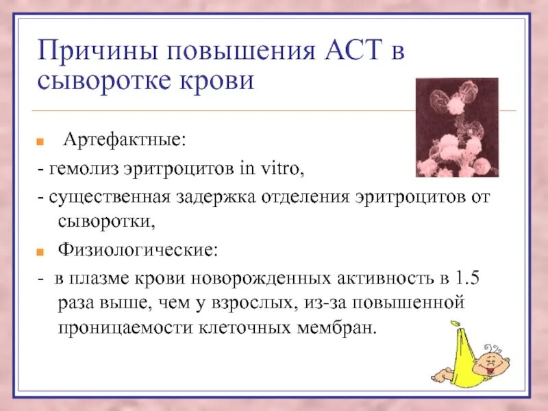 Аст снизить быстро. Причины повышения аст. повышение аст в крови причины. аст повышен в крови причины. повышение аст в крови у женщин причины.