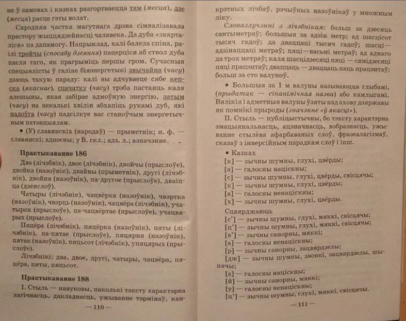 Бел яз 10 класс правила. Абеліск ля дарогі дыктант 5 клас. Решебник по белорусскому 4 класс 1