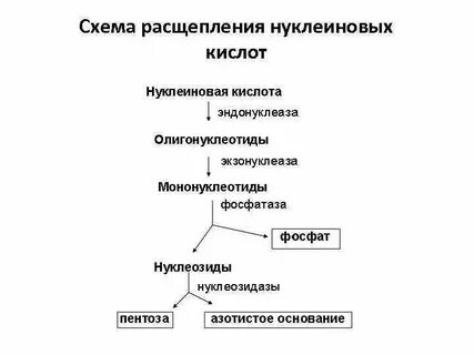 Кислого схема