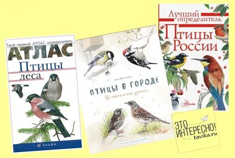 Атлас определитель 2 класс птицы