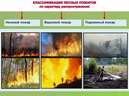 Перечислите виды природных пожаров
