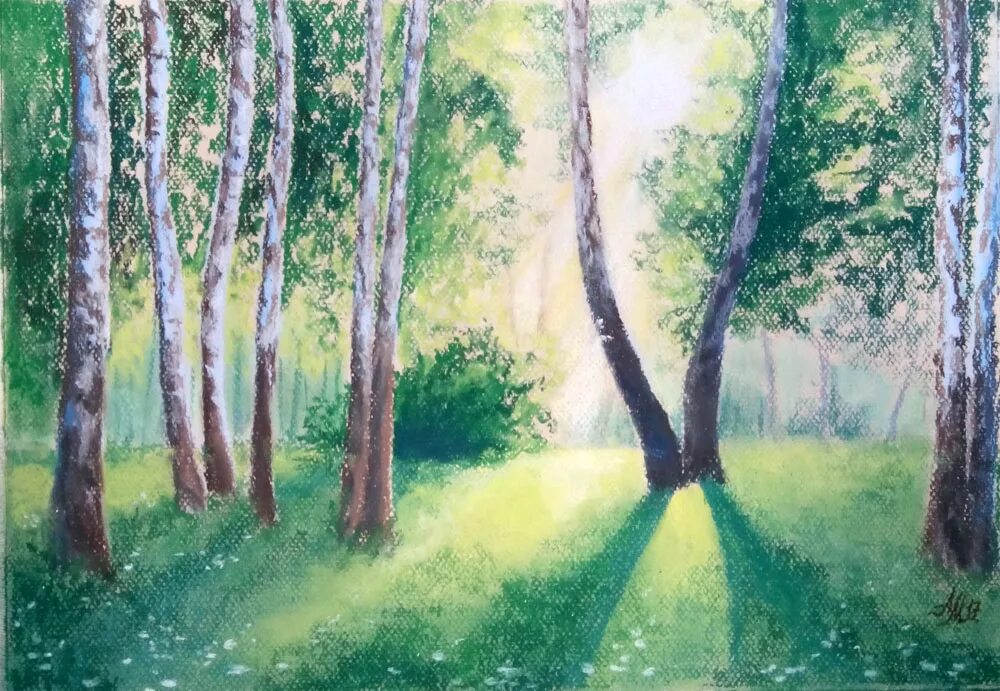 Лес цветными карандашами. Джунгли рисунок. Лес рисунок. Лес цветными карандашами. Лес рисунок.