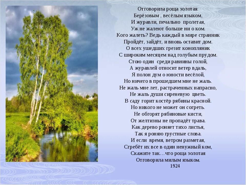 Слушать песню отговорила песню золотая. Отговорила роща Золотая Есенин. Отшумела роща Золотая Есенин. Стихотворение Есенина Отговорила роща Золотая текст. Стихотворение Есенина Отговорила роща Золотая.