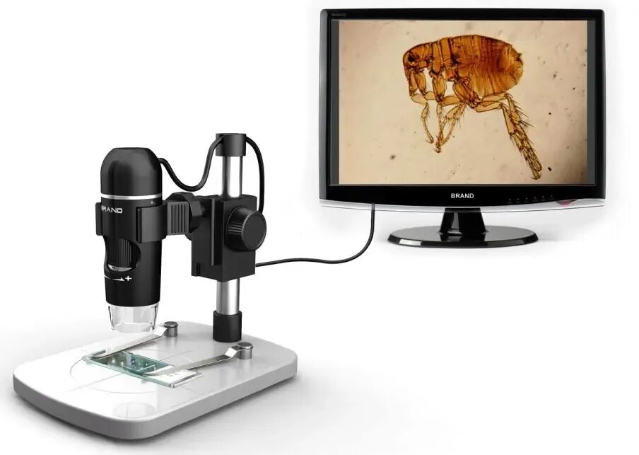 Микроскоп для компьютера. Usb digital microscope with 300x magnification. mt1091 цифроскоп usb-микроскоп. лупа микроскоп 5g5e. микроскоп с экраном st 2025 usb.