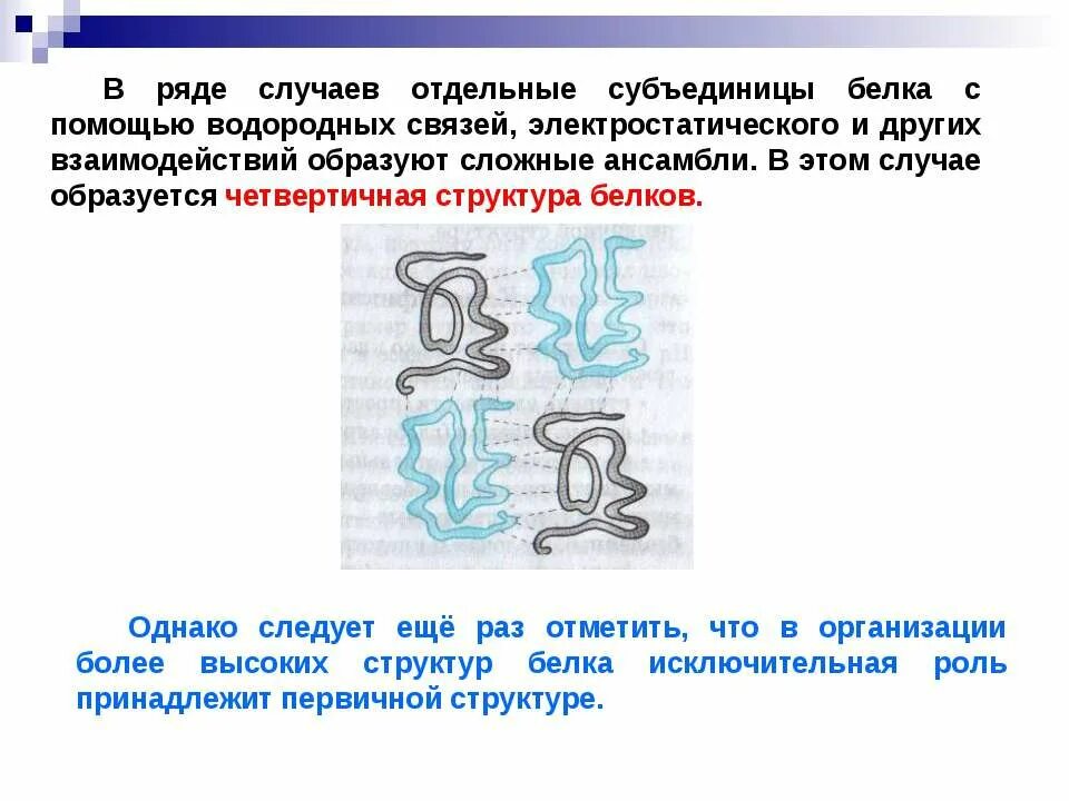 Субъединицы белков. Четвертичная структура белка строение. Строение молекулы белка и структура белка. Бета гамма субъединица. Белковых субъединиц.