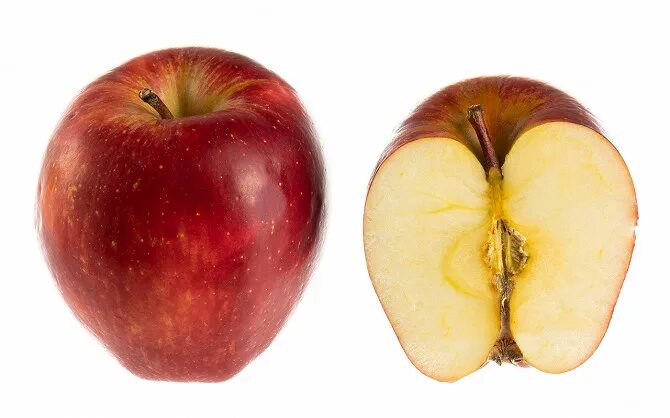 сорт яблони джонатан. яблоня пинк леди. яблоня квинти. яблоко какой род существительного. яблоко род.