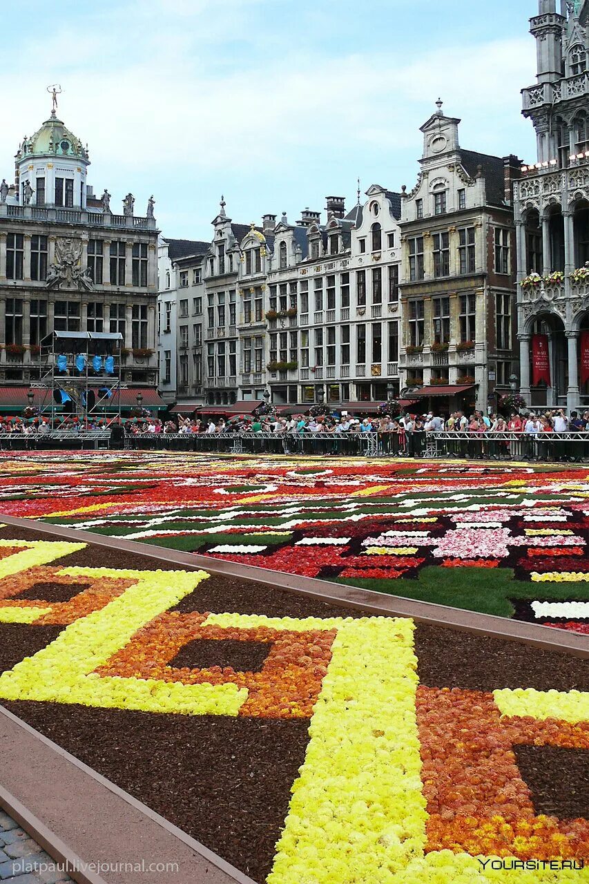 Антверпен (город в бельгии) достопримечательности. Достопримечательности бельгии площадь гран плас. Гран плас брюссель. Брюссель название. Столица бельгии брюссель.
