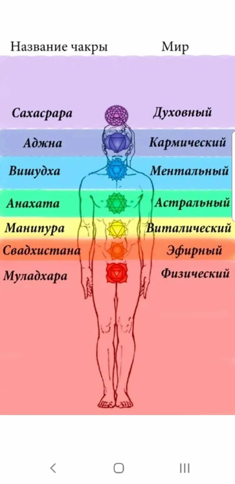 Название чакр человека и их значение. Чакральная система человека дополнительные чакры. чакры человека их расположение и цвета. свадхистана чакра схема. энергетические чакры человека описание.