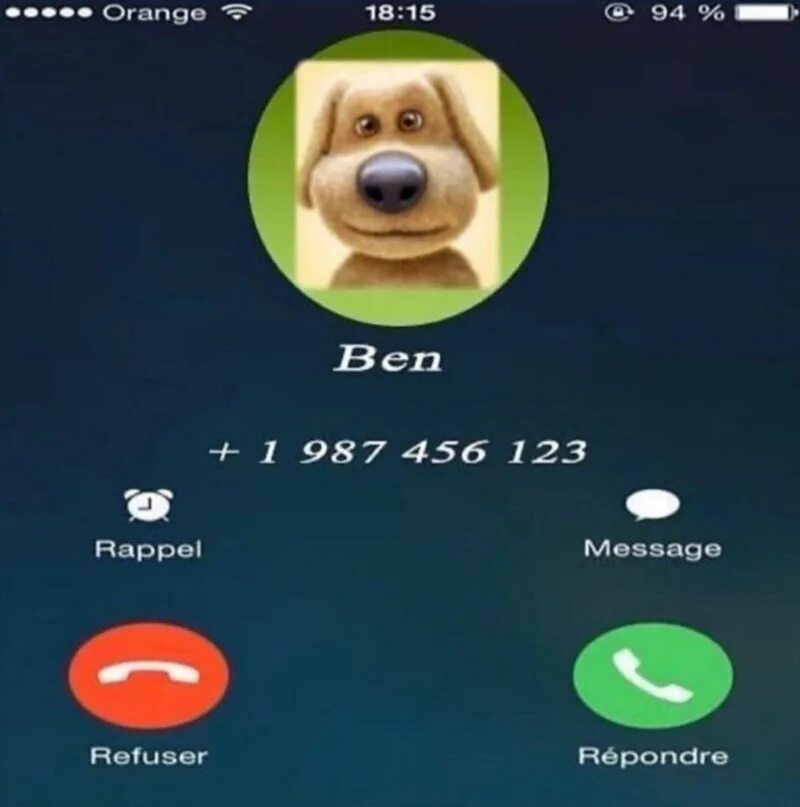 Звонок игра 18. Говорящий Бен звонит. Бен собака. Говорящий Бен позвонил. Какой номер у Бена.