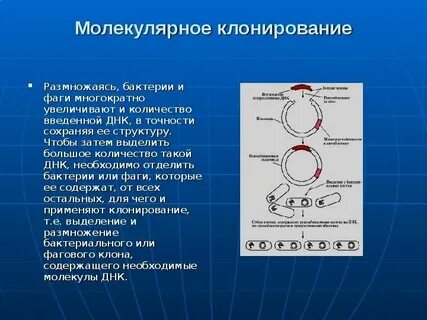 На 1 этапе молекулы