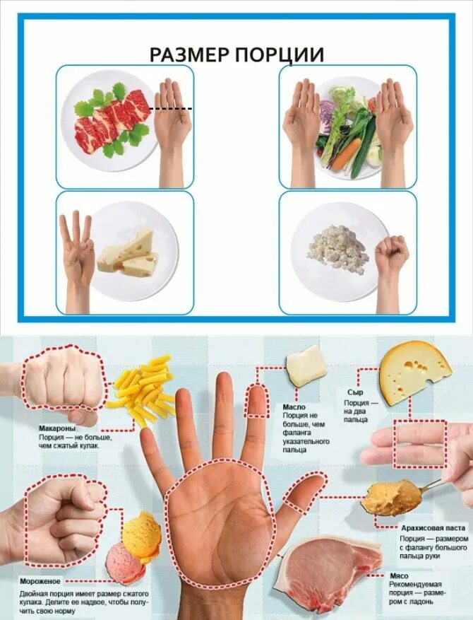 Порция по ладони. Размер порции. Правильное питание по ладошке. Порции еды по ладони.