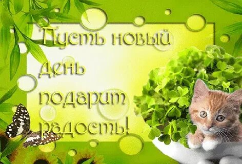 Пусть новый день картинки