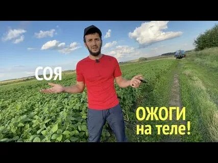 Заработал трактор и я легко нашел его