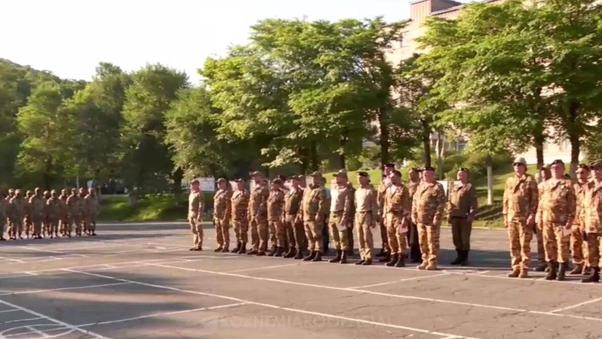 Отряд тигр владивосток. Добровольческий батальон тигр. Отряд тигр добровольцев приморский край. Добровольческий отряд тигр на украине. Отряд тигр добровольцев приморский край.