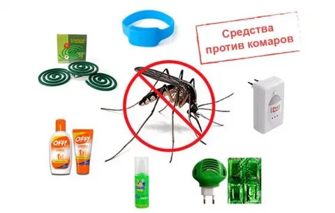 Продукты получаемые от насекомых