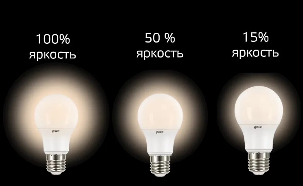 Включи свет яркость света 100. Gauss e14 Step Dimmable. Лампочки разные. Шаговые лампочки. Светодиоды лампы.