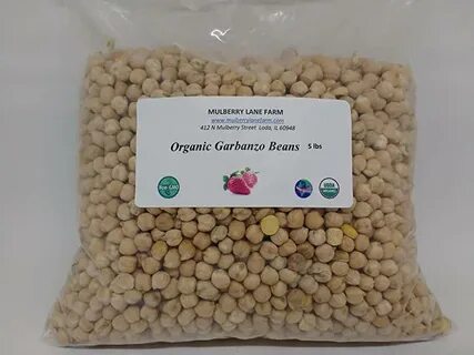 Bean 5 5
