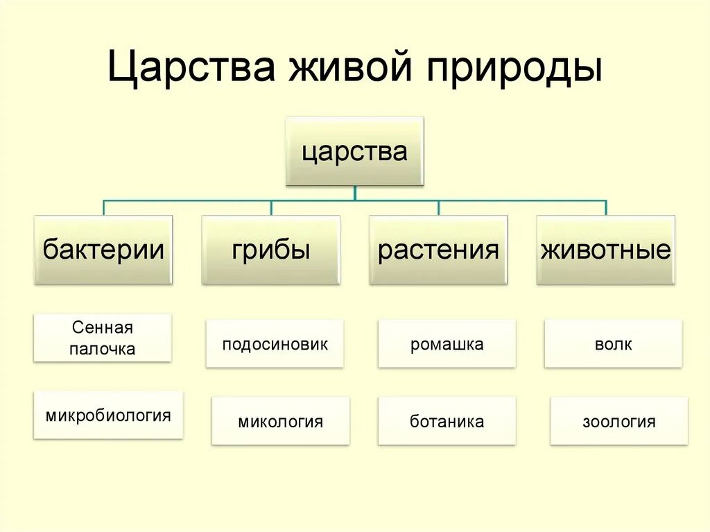 Царства живой природы. Ботаника это наука. Карта Царств живой природы. Какие царства живых организмов изучает ботаника.