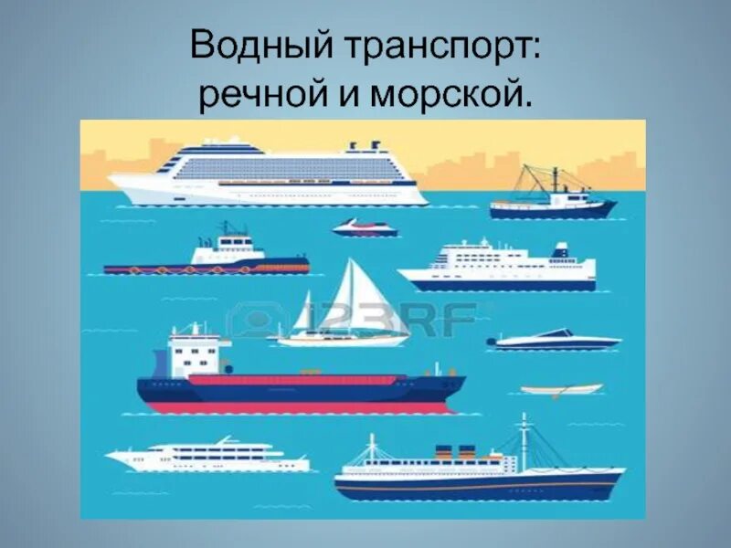 Специалисты водного транспорта. Водный транспорт виды. Морской и Речной вид транспорта. Типы водного транспорта. Строение водного транспорта