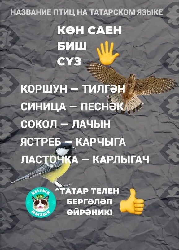Названия птиц на башкирском языке. Птицы на татарском языке. название птиц на татарском языке. названия птицина татарском. птицы на башкирском языке.