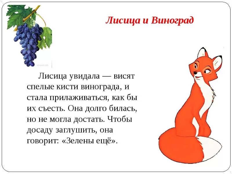 Басня про лисицу. Лиса и виноград басня крылова. басни льва толстого лисица и виноград. басни крылова короткие лиса и виноград. басни ивана андреевича крылова лисица и виноград.