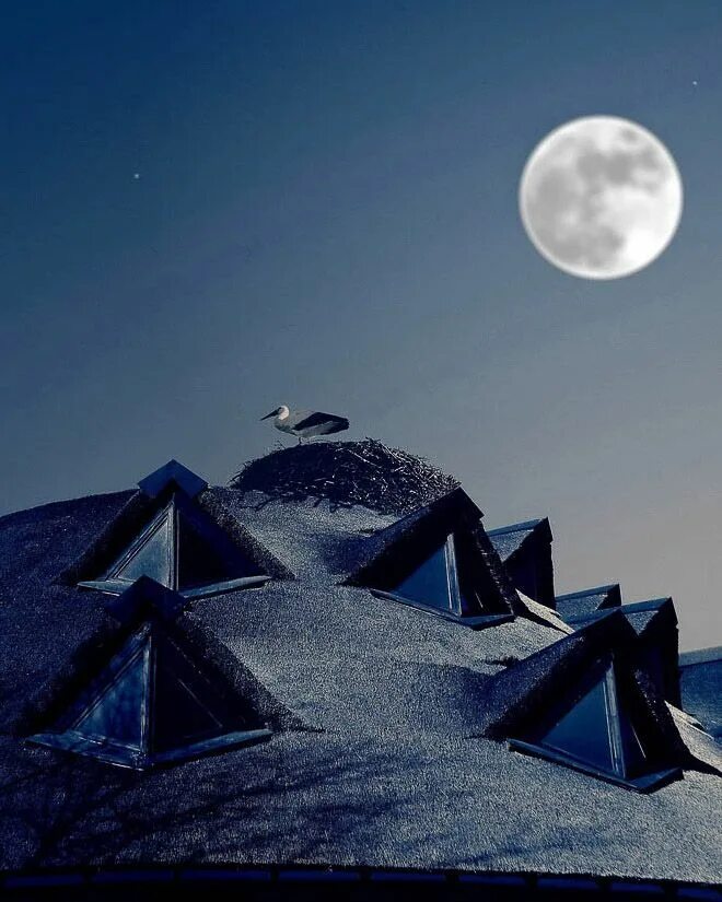 Луна над крышей дома. Луна на крыше. Луна над крышами. Полумесяц на крыше. Луна кровли.